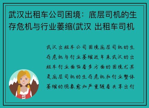 武汉出租车公司困境：底层司机的生存危机与行业萎缩(武汉 出租车司机)